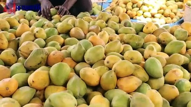 Vox pop : des vendeurs de mangues répondent aux allégations selon lesquelles des mangues seraient empoisonnées. #Tchad