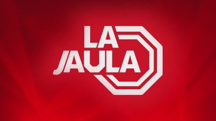 PREVIA del UFC 308: ILIA TOPURIA vs. HOLLOWAY | Entrevista con LOS CLIMENT y MANGUELO | LA JAULA