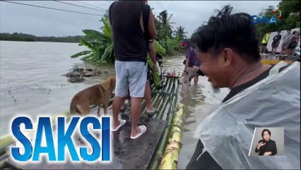 Mga alagang hayop na apektado rin ng Bagyong Kristine, ni-rescue sa iba't ibang lugar | Saksi