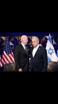 The last shadow puppets #6