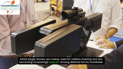 Aerial Target Drones Market
