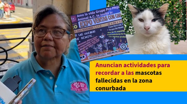 Estos artículos debes colocar en el altar de Día de Muertos para mascotas