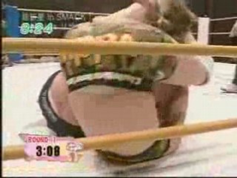 Lisa Ward vs. Miku