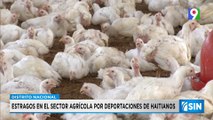 Estragos en sector agrícola por deportaciones de haitianos | Primera Emisión SIN