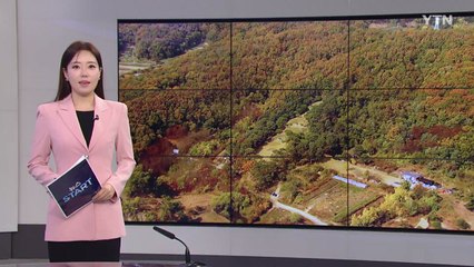 [미리보는오늘] 오늘 이건희 4주기 추도식...유족·경영진 참석 / YTN