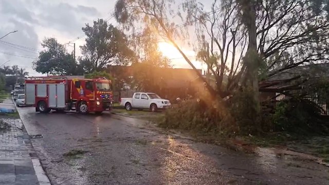 Galhos caem e interditam Rua Orlando Vasconcelos