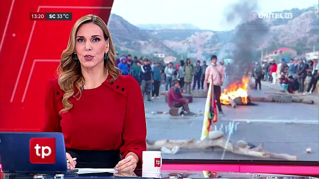 ‘Locro’, la inusual mascota adoptada por choferes que están varados por bloqueos