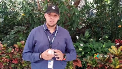 ext-andres-yankees-241024