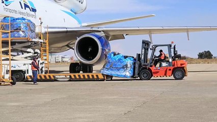 Llegan 40 mil pollos a El Alto para abastecer los mercados de La Paz y de Oruro