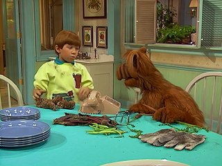 ALF - S01E18 - Extranjeros