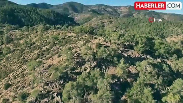 Muğla'da Kaçak Avcılık Denetimi: İki Kişiye Para Cezası