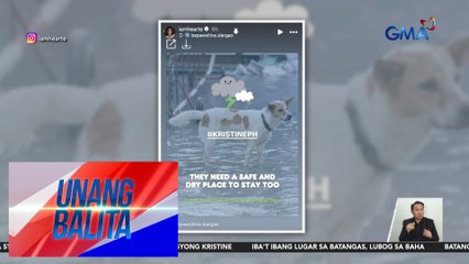 Heart Evangelista, kaisa sa panawagan na "No Pets Left Behind" ngayong may kalamidad | Unang Balita