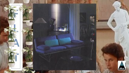 05 . Borby Norton - Comfort