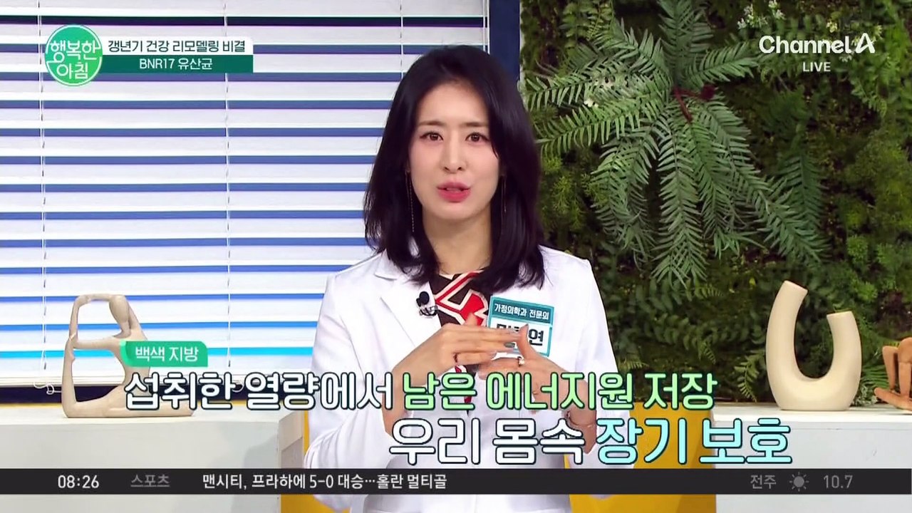 갱년기 다이어트 성공 후 '유지 비결'은? 일상 속 습관과 비만 다이어트를 돕는 유산...