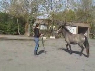 Cathy et  Romane : séance de dressage à la Boisselée - 23 04 2008