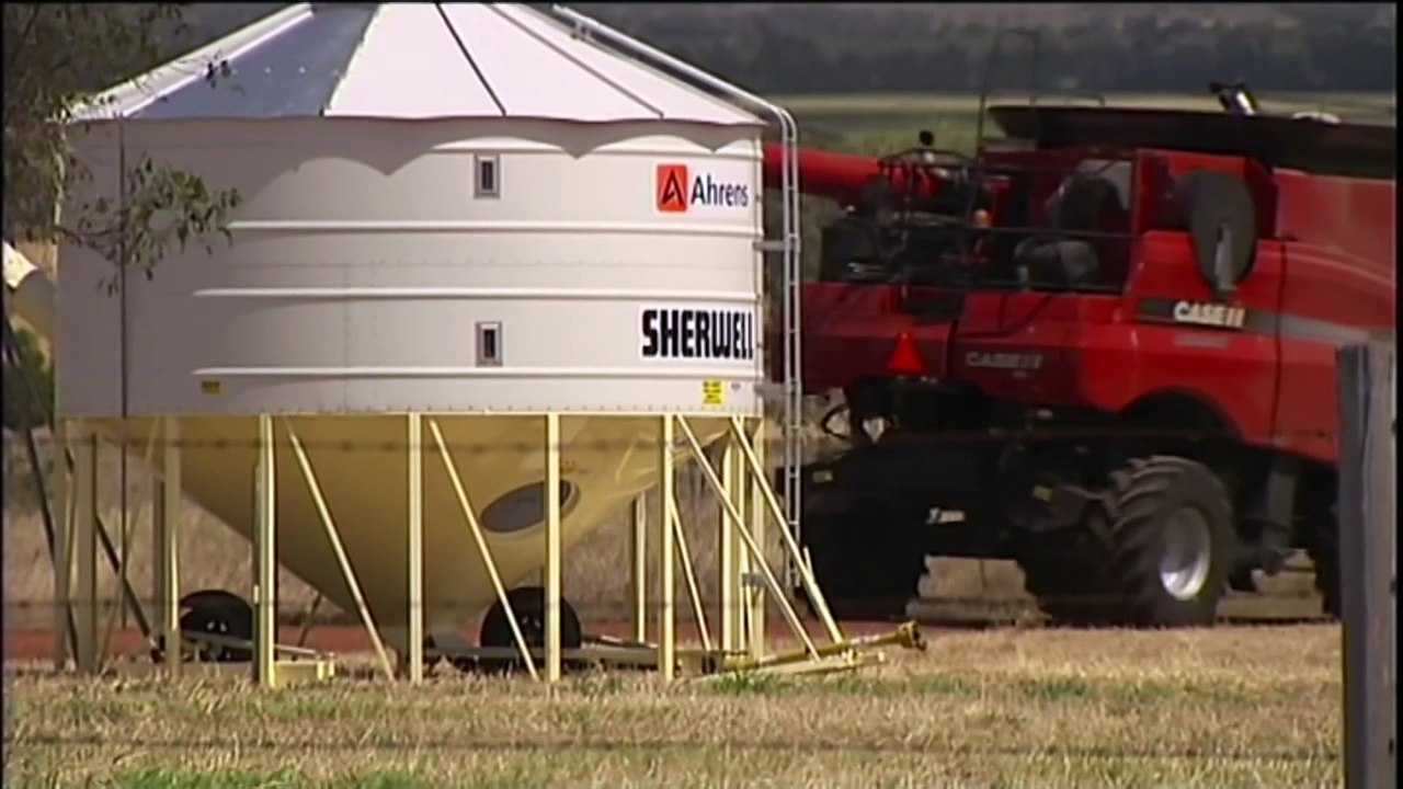 Grain crop harvest workers threatening to walk off the job over a pay dispute