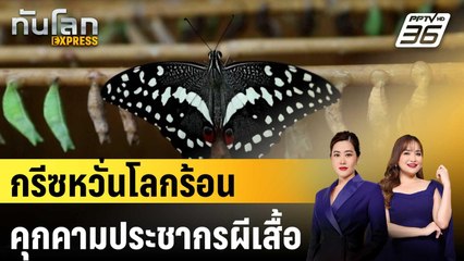กรีซหวั่นโลกร้อนคุกคามประชากรผีเสื้อ | ทันโลก EXPRESS | 25 ต.ค. 67