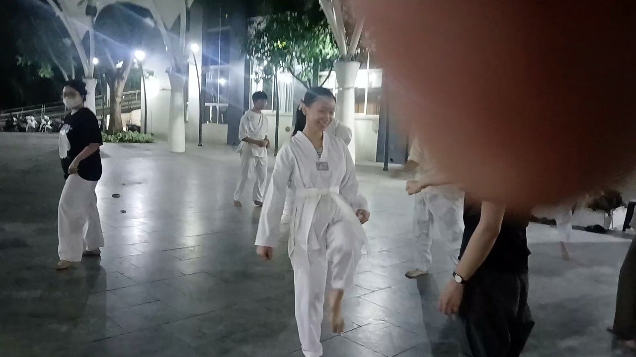 Taekwondo, tkd 20241021_183937