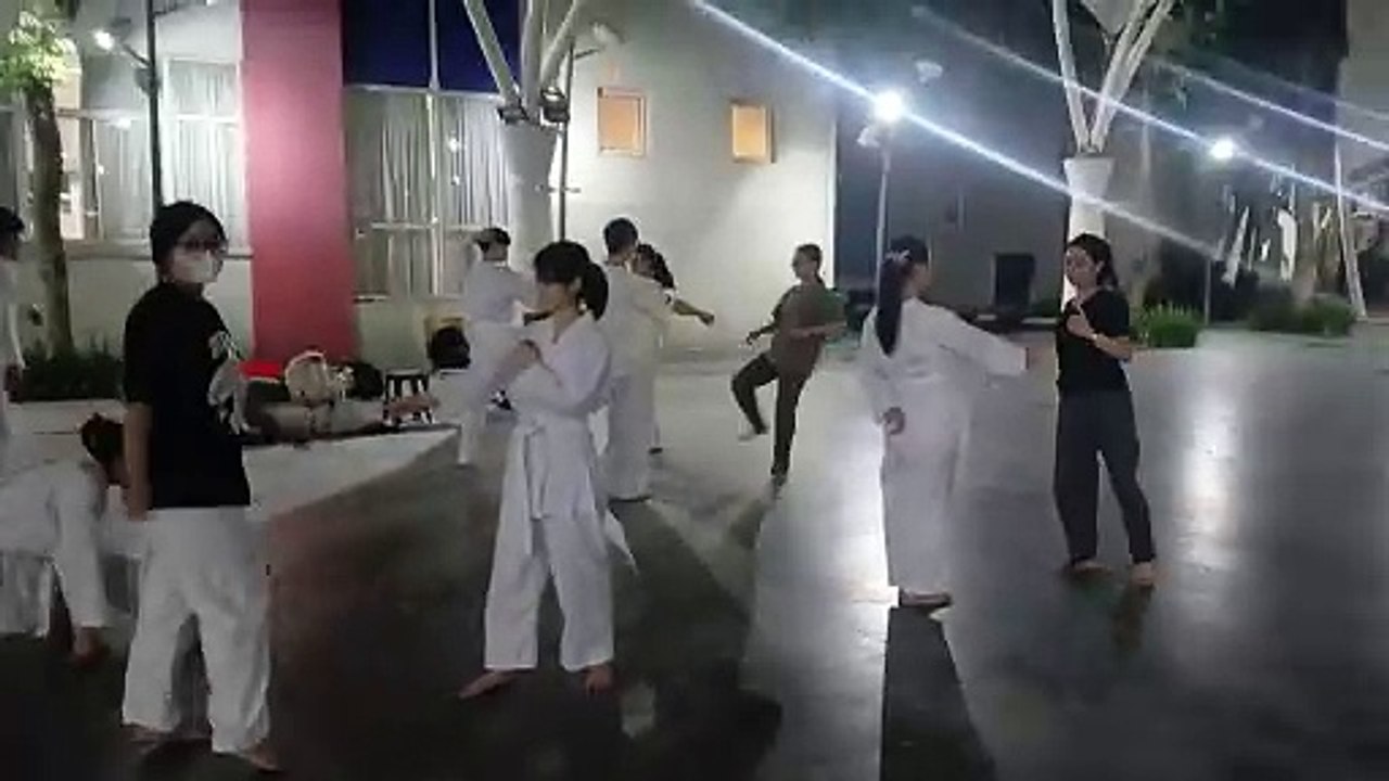 Taekwondo, tkd 20241021_183215