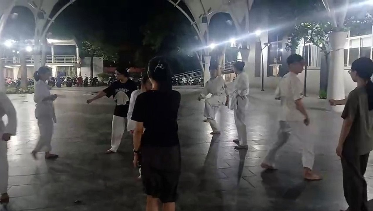 Taekwondo, tkd 20241021_184825