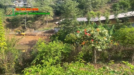 Chiêm Ngưỡng Ngôi Nhà Tre Mái Lá Khổng Lồ 1000m² Tuyệt Đẹp Nằm Bên Hồ Hòa Bình - Trải Nghiệm Không Gian Đầy Sức Sống!