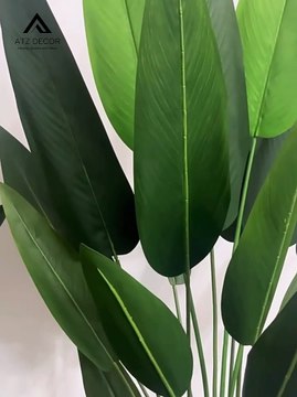 Thanh lý cây dong riềng giả bền đẹp, giá khuyến mãi, chất lượng cao, đủ kích thước, bảo hành lâu dài, vận chuyển toàn quốc