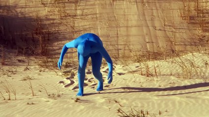 Elementos Classicos_Terra_Flor Carrizzo_ Dunas da Ribanceira_Pier Zapfen 2024