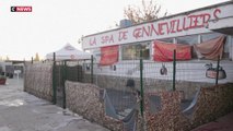 Hauts-de-Seine : de nouveaux locaux pour la SPA de Gennevilliers