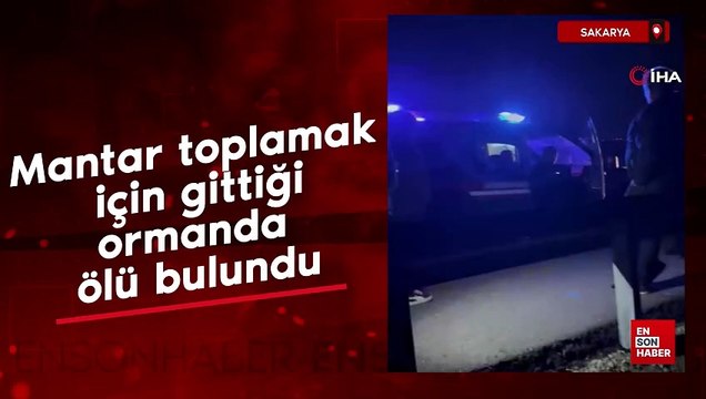 Sakarya'da mantar toplamak için gittiği ormanda ölü bulundu