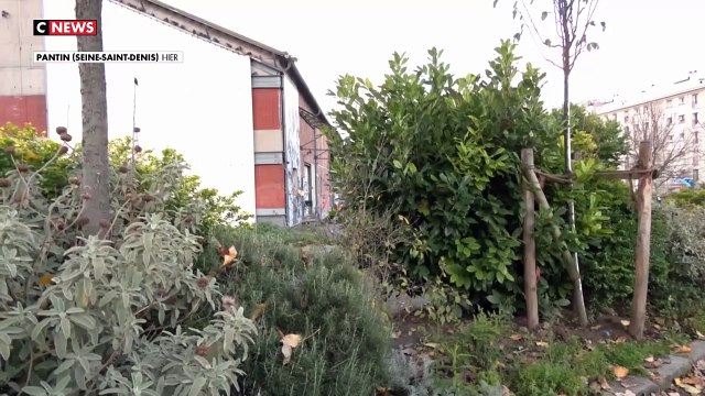 Dan, 22 ans, victime d'une tentative de viol en pleine rue à Pantin, par 2 algériens sous OQTF, brise le silence en larmes : Être juif et homosexuel en France, c’est la double peine