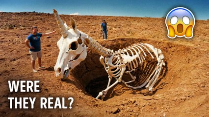 Yes, Unicorns Were Real: Discover the True Story