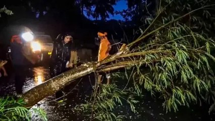 Cyclone Dana Landfall: ओडिशा में भारी बारिश, सड़कों पर उखड़े पेड़, भारी बारिश
