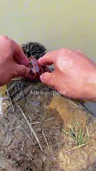 Chinese TikTok-DIY Magic: Create Something Amazing