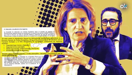 Ribera avaló la "capacidad legal" de la petrolera de Aldama para lograr la licencia con la que defraudó