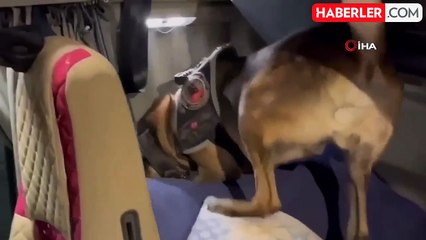 Edirne'de Tırda 12 Kilogram Kokain Ele Geçirildi