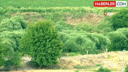 Diyarbakır'da Narin Güran Cinayetinde Şüpheliler 66 Gündür Suskun