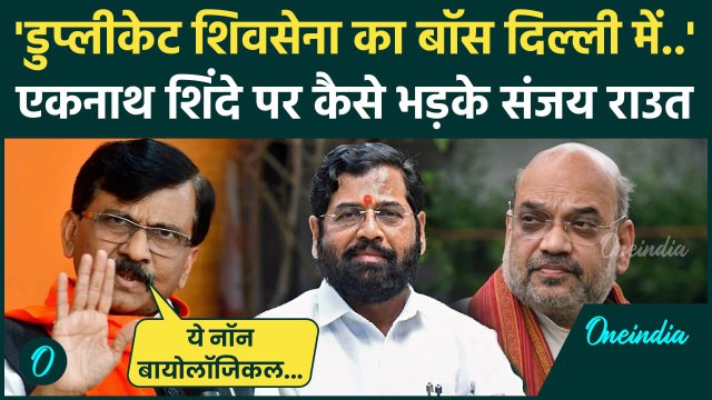 Maharashtra Election:सीट शेयरिंग के मुद्दे पर कैसे Eknath Shinde पर भड़के Sanjay Raut|वनइंडिया हिंदी
