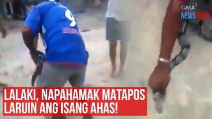 Lalaki, napahamak matapos laruin ang isang ahas! | GMA Integrated Newsfeed