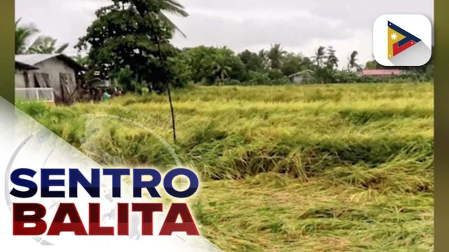 D.A., minamadali na ang paghahatid ng tulong sa mga magsasaka at mga mangingisda na nasalanta ng Bagyong #KristinePH