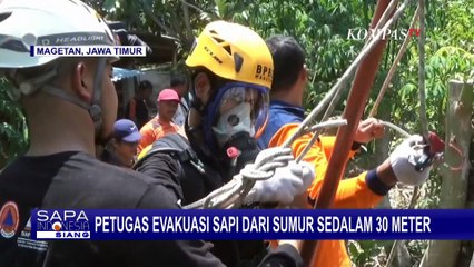 Proses BPBD Magetan Evakuasi Sapi 120 Kilogram dari Sumur Sedalam 30 Meter