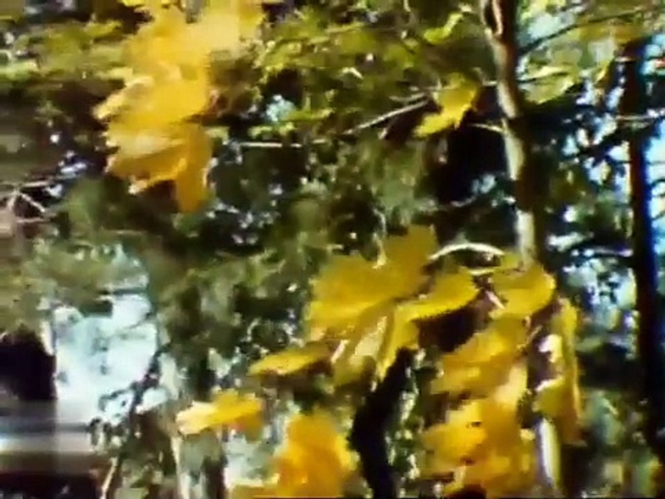 Время. Прожектор перестройки. Эфир 17 октября 1987 г.