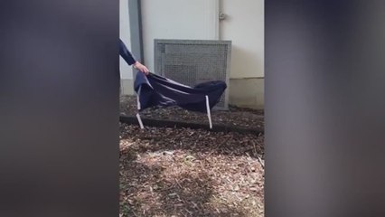 Una de las serpientes más venenosas del mundo invade el colegio y la seguridad de los niños recae en sus manos