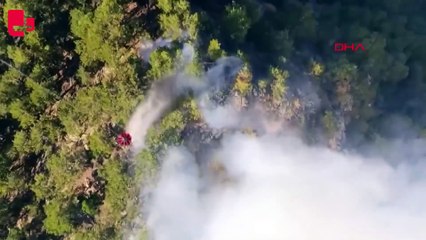 Denizli'de orman yangını ikinci gününde