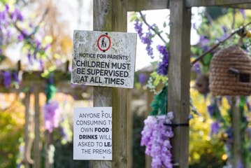 Heaton Park café customers baffled over 21 signs with rules about food, dogs, kids and toilets