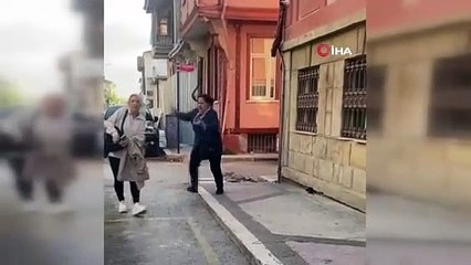 Sokakta insanlara saldıran dev fare vatandaşların kabusu oldu