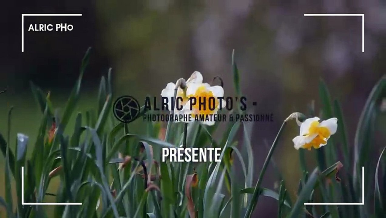 INTRO Alric photo's