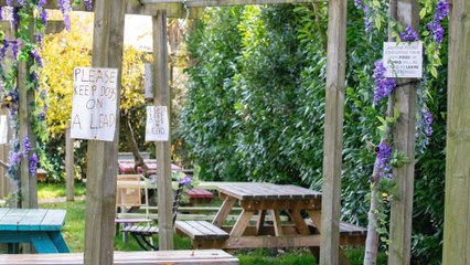 Britain's strictest café? Customers baffled bysigns on kids, food, pets and loos