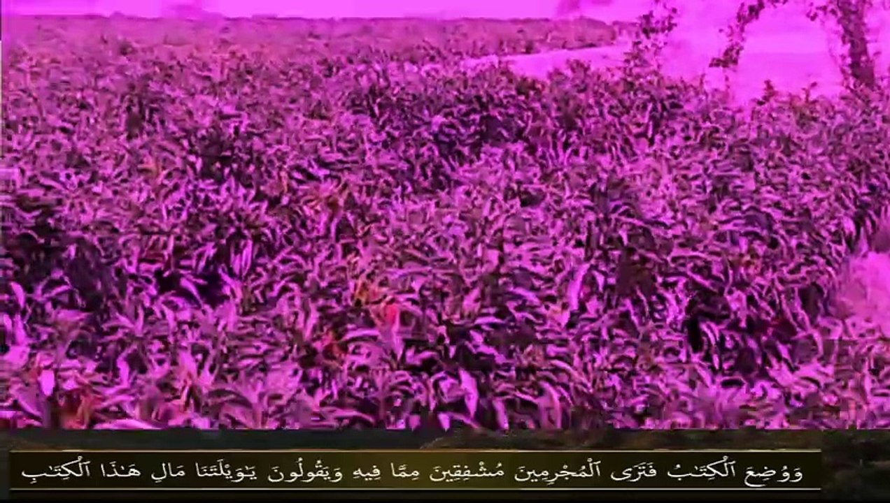 Most beautiful Recitation of Surah al-Kahf