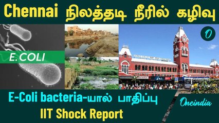 Chennai -யில் 75% வீடுகளில் உள்ள நிலத்தடி நீரில் கழிவு! E-Coli bacteria-யால் பாதிப்பு!  IIT Report