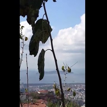 Maltepe'deki alçak uçuş sosyal medyada gündem oldu! Gerçek ortaya çıktı